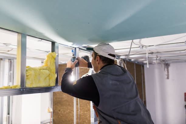 Best Residential Insulation in Dupont, WA
