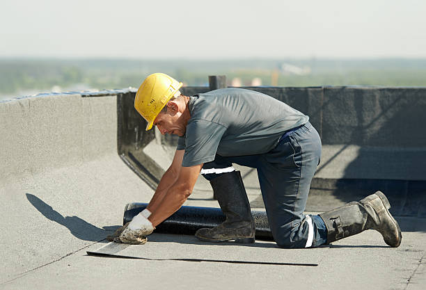 Best Geographic-Specific Insulation Services in Dupont, WA