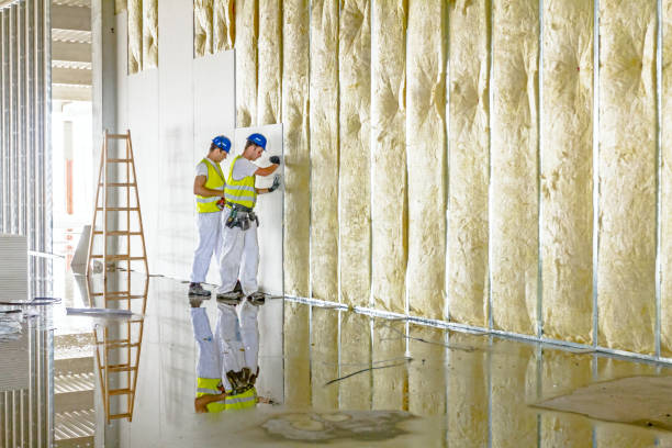 Best Eco-Friendly Insulation in Dupont, WA